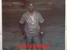 Robert French - Wondering - Killer LP