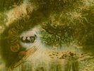 PINK FLOYD-LP-  A SAUCERFUL OF SECRETS- JAPAN PRESS-EMS 80318
