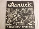 ASSUCK Misery Index LP OOP Grindcore SPAZZ Pig Destroyer INFEST Insect Warfare