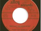 TERRY RAY BRADLEY  rocker 45  Red Hair And Green Eyes / Herself - NM