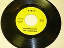GARAGE PSYCH BAND 45RPM RECORD - THE ESSENTIALS - KANDY 82042