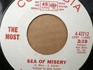 NJ GARAGE PSYCH rocker 7