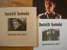 TRES  RARE  COFFRET 3  X  LP's  DAVID  BOWIE  