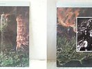 GRAVE - Into the..., 1st press/ Asphyx Bolt Thrower Dismember Morgoth Entrails