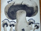 Mushroom Folk sampler - Original UK Compilation LP rare