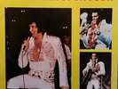 elvis the king lost on tour