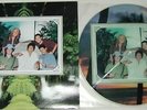 NOFX HOFX picture disc RARE OOP 1/1000 Fat Wreck Chords Masked Intruder