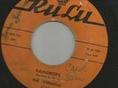 DOOWOP R&B--VERNALLS--RAINDROPS--TWO SIDER--HEAR BOTH -1958 RU LU