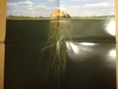 The Mars Volta De Loused In The Comatorium 2 x Silver LP record + Poster
