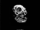 Trophy Scars- Goodnight Alchemy/ OOP/ Super Rare/ 250/ Pink vinyl/ Brand new