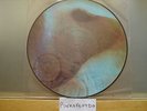 PINK FLOYD MEDDLE PICTURE DISC VINYL LP