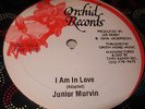 JUNIOR MURVIN I Am In Love / Crossover 12