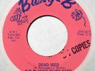 hear: PLASTIC BLUES BAND on Busy-B M- psych garage 45 Dead Seed/Gonna Get Buried