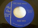 1966 CHICAGO GARAGE--END--NOT FADE AWAY / MEMORANDUM--CHA CHA 746
