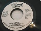 rare record Soul 45 Skip Mahoney promo on SalSoul   Janice NM-