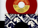 CHICAGO SLIDE GUITAR BLUES 45: HOUND DOG TAYLOR Red vinyl ROOSTER