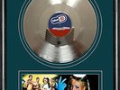 Beautiful Silver Framed 12in Vinyl Record Display BLINK 182 ALL THE SMALL THINGS
