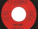 Tittyshaker R&B 45 NOBLE WATTS 