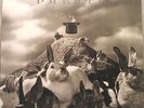 RUSH Presto 1989 UK  vinyl LP  EXCELLENT CONDITION