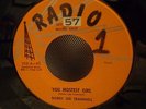 BOBBY LEE TRAMMELL---YOU MODEST GIRL  ( Rockabilly)