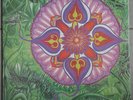 ST: MIKAEL - SOUL FLOWER DLP XOTIC MIND RAAAR  ORG.