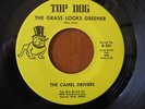 1968--The Camel Drivers--The Grass Looks Greener--Top Dog 201 Michigan garage