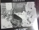 NIRVANA Bleach SIGNED Blue vinyl WATERFRONT Sub Pop Foo Fighters Pearl Jam TAD