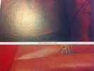 COLD CAVE Cherish the Light Years LP Limited Edition american nightmare 60/123