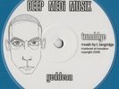 Tunnidge - Geddeon / Face Melt 12