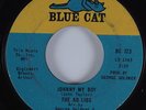 Northern Soul 45 AD LIBS Johnny My Boy BLUE CAT HEAR VG+