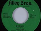 70s Soul / Sweet Soul 45 GUY ALLEN Changes ALLEN BROS HEAR VG+