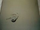 LOW LONG DIVISION LP ORIGINAL PRESSING? '94 SEALED