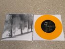 PAINT IT BLACK Invisible Yellow /100 7