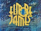 ELMORE JAMES • TO KNOW A MAN • 1969 UK STEREO 2-LP BLUE HORIZON 7-66230   NM