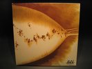 LAMBCHOP - Aw C'mon No You C'mon DOUBLE LP AWCMON NOYOUCMON