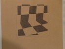 DUCKTAILS THE FLOWER LANE REAL ESTATE GRIZZLY BEAR 180 GRAM LP RECORD X/300 LTD 