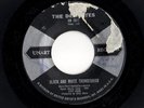 Girl Group Hot Rod 45 DELICATES Black & White Thunderbird/Ronnie Is My Lover