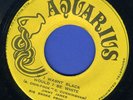 1071 JIMMY JAMES-IF I WASN'T BLACK-INVASION-AUGUSTUS PABLO-AQUARIUS -REGGAE 7