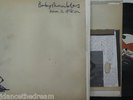 BABYSHAMBLES - Down In Albion   GATEFOLD 2 x VINYL LP + INNERS