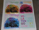 YO LA TENGO  Ohm  triple 12