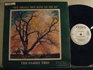 FAMILY TREE we shall see..CHERI gospel funk / modern soul LP RARE promo *Hear*