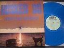 HÜSKER DÜ blue Vinyl SST LP NEW DAY RISING(Black Flag,Bob Mould,Grant Hart)