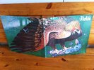 FIELDS - Same,UK Prog Psych Monster, CBS 1971 + Huge poster