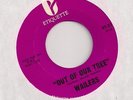 THE WAILERS : OUT OF OUR TREE (Etiquette ET-21)Orig NW Garage Punk Mod 45 LISTEN