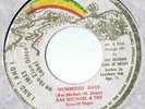 Ras Michael Numbered Days JA 1975? Zion Disc Matrix MIC-CAN 45002 A