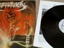 Sepultura morbid visions lp