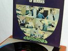 Rockin´Berries - Life is just a Bowl of Berries  UK 1965