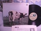 PINK FLOYD ATOM HEART MOTHER 12