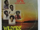 Wildfire 