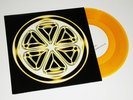 Coil / Summer Solstice: Bee Stings [7